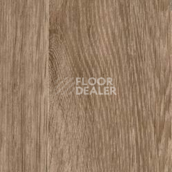 Линолеум Taralay Initial Comfort 0589 Wood фото 1 | FLOORDEALER